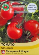 GARTENPERLE -TUMBLING TRAILING