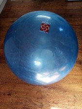 Original Bosu Ballast Ball Pro