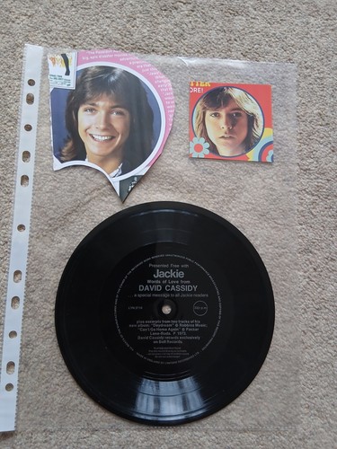 David cassidy interview flexi - david,