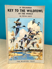 A Coloured Key to Wildfowl of