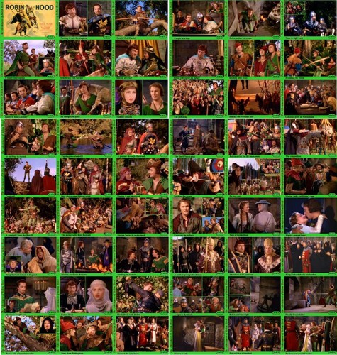 The adventures robin hood - the,
