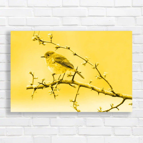 Robins spring hawthorn tree - in,