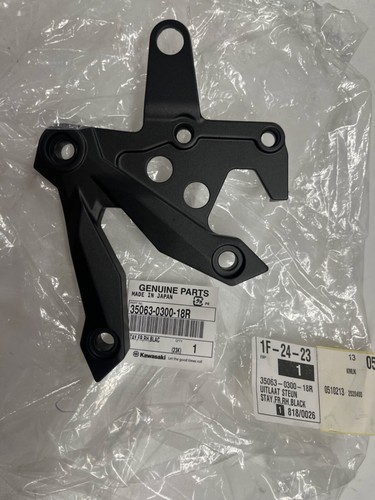 Oem geniune kawasaki z750 - oem,