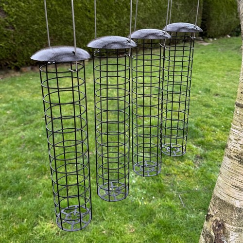 Large hanging suet - suet, ball