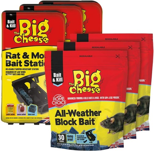 The big cheese - cheese, mouse