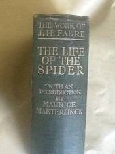 The Life of the Spider, By  J
