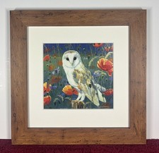 Barn Owl Picture Art Print by