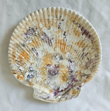 ANTIQUE WEDGWOOD MOONLIGHT