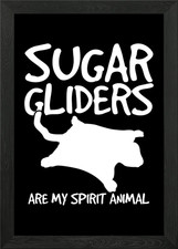 Sugar Glider Marsupial Framed