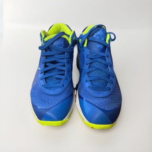 Nike lebron witness - vlll, men's