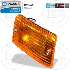 Complete Right Rear Indicator