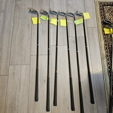 Set Of 6 Lynx Tigress G Lady