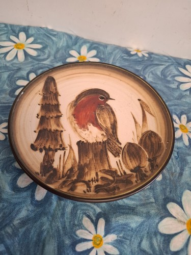 Vintage wimborne pottery plate - pottery,