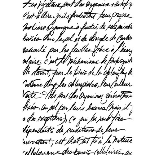 Botanical script unmounted - script',