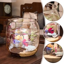 Round fish bowl - round, transparent