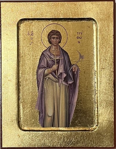Saint tryphon campsada icon - saint,
