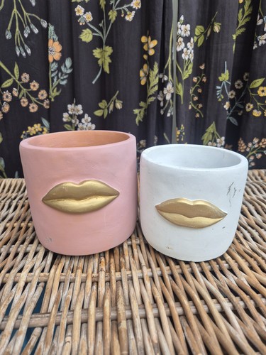 Pair terracotta plant pots - plant,