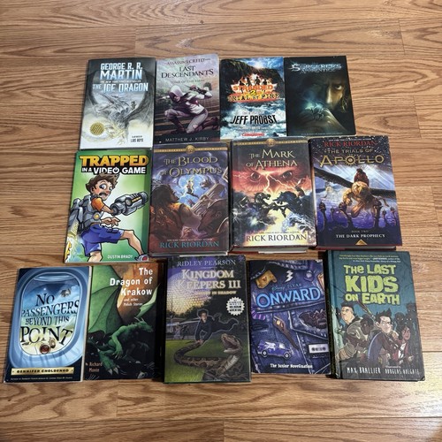 Boys chapter books lot - books,