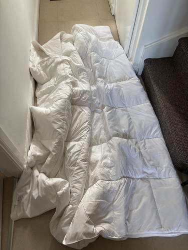 Goose feather duvet - feather,