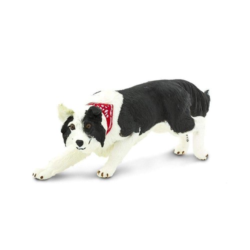 Border collie miniature - border, animal