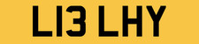 Quality reg number - reg, l13