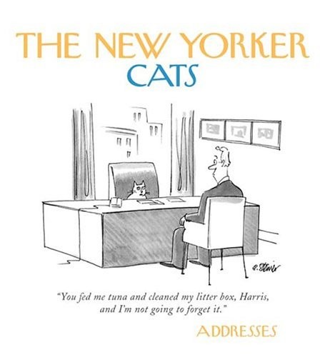 New yorker cats square address - yorker,
