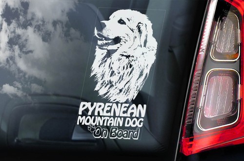 Pyrenean mountain dog car - mountain,