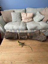 Dinosaur Fossil Large Tibia Isle Of Wight Iguanodon Half Prepped