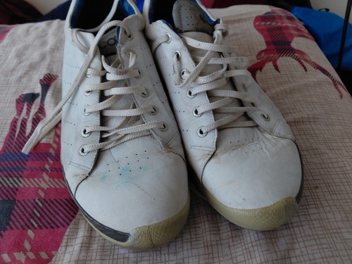 Ecco yak biom - ecco,