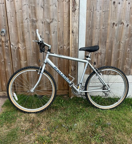 Men mountain bike - men's,