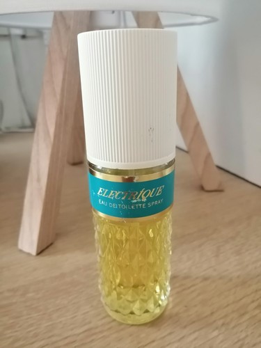 Vintage max factor electrique - max,