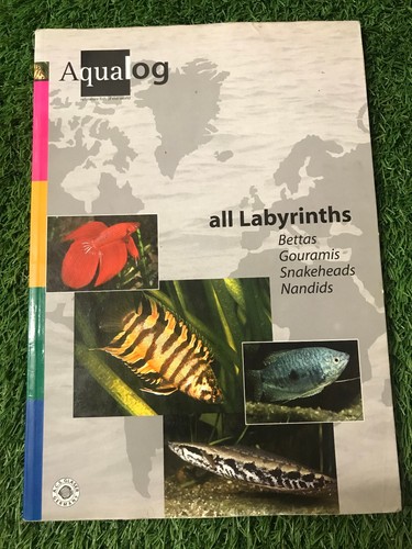 Aqualog all labyrinths - all,