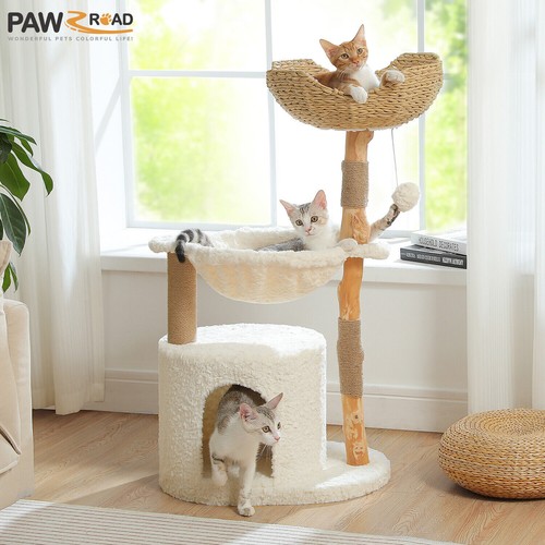 Pawz road modern - pawz, cat
