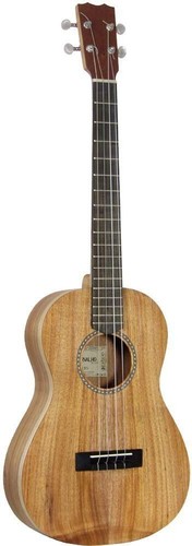 Antonio carvalho baritone - carvalho, "bs"