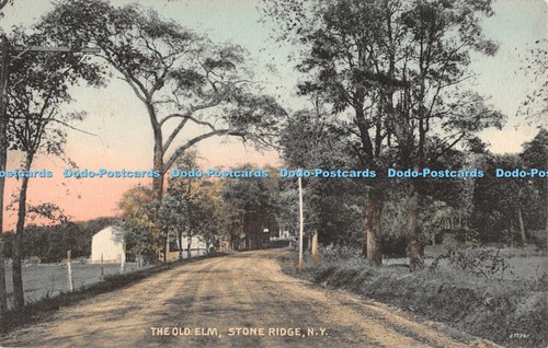 R053394 the old elm stone - r053394,