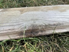 54cm LONG FLAT DRIFTWOOD CHARACTER PIECE Sea Wood Art Sign Beach Coast  Shelf