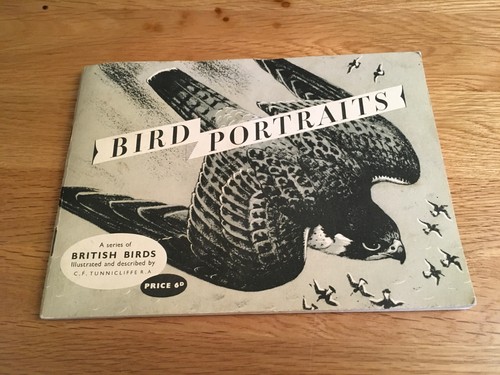 Bird portraits brooke - portraits,