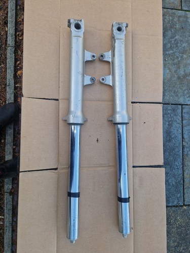 Buell rwu front forks - buell,