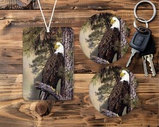 American bald eagle bird - american,