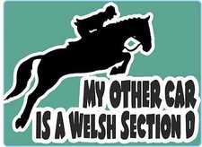 Horsebox Decal "My Other Car