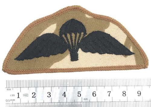 Desert camo british army raf - a,