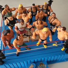 WWF Hasbro Ring + Figures