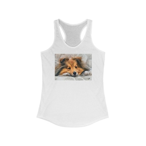 Shetland sheepdog sheltie - sheepdog,