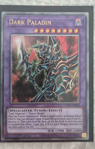 Dark paladin quarter - paladin, (quarter