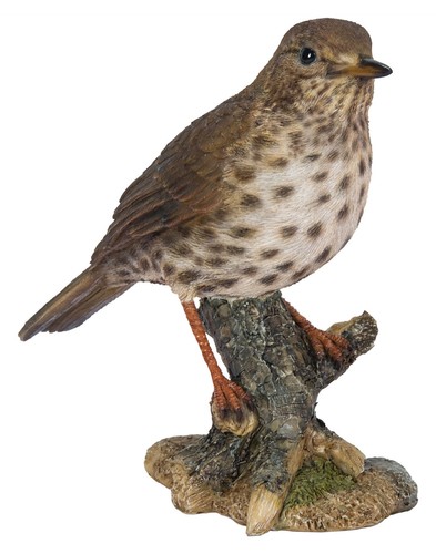 Song thrush bird lifelike - bird,
