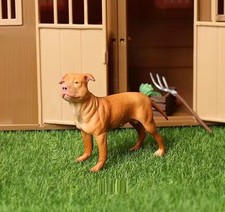 Pitbull Terrier Dog Animal