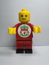 Giant Brick Lego Inspired Man