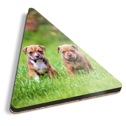 Triangle coaster - triangle,