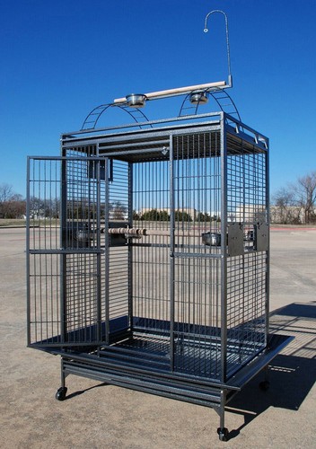 X30 x72 xxxlarge parrot - xxxlarge,