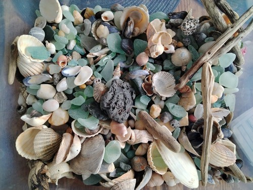Sea treasure craft pack - sea,